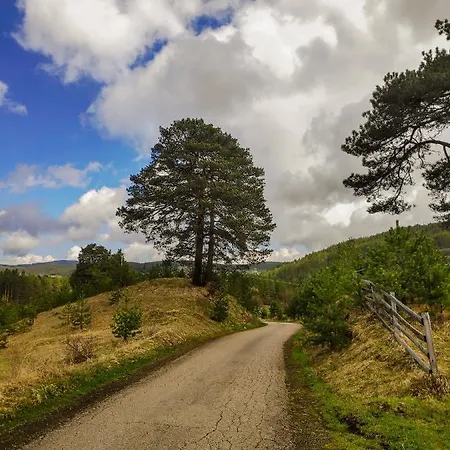 Apartment Art Village *